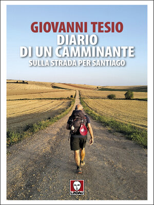 cover image of Diario di un camminante